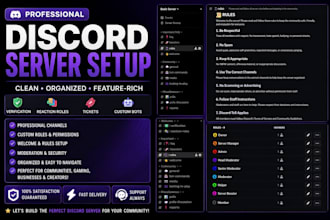 build a professional discord server for your community