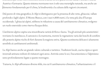 professional english italian and arabic translator