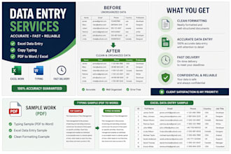 data entry, copy typing and excel work fast and accurately