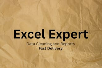 do excel data cleaning, vlookup, pivot tables and reports