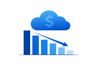 audit your AWS costs and create a saving plan to reduce your bill