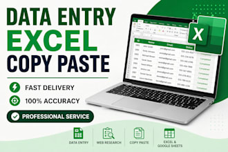 do fast and accurate data entry, excel, copy paste work