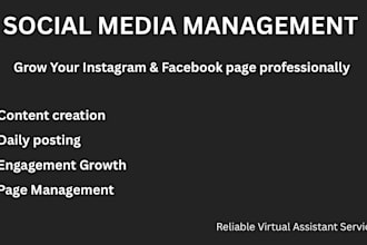 manage your social media accounts professionally