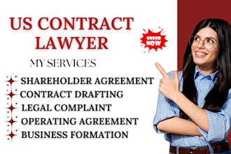 be your lawyer in pro se case, paralegal, lawyer, litigation lawyer
