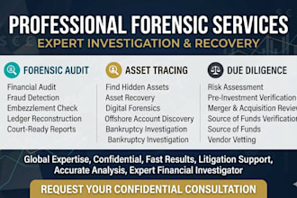 provide professional forensic audit, asset tracing, due diligence