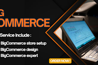 design a professional bigcommerce store that converts