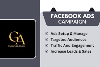 setup facebook ads campaign for leads and sales