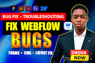 fix webflow bugs, errors and issues on your webflow website