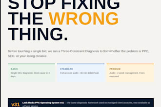 diagnose your amazon PPC account, find the root cause, and deliver a plan