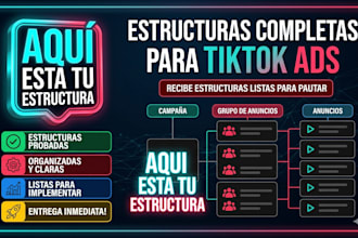 setup a professional and resilient tiktok ads infrastructure