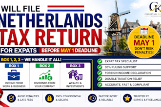 file netherlands tax return for expats box 1 2 3 before may 1 deadline help