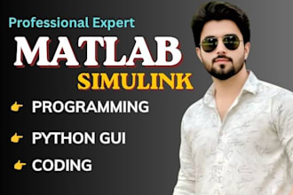 do matlab simulink and matlab programming , matlab task for you