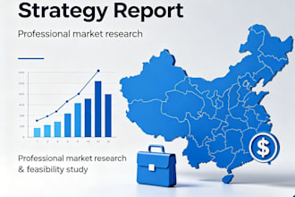 provide a china market entry strategy and feasibility study