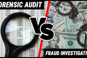perform financial audit, forensic accounting, fraud investigation and review