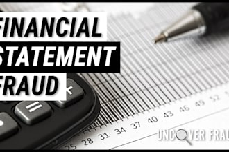 verify bank statements and books of accounts for fraud investigation