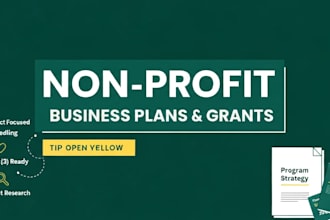 write a professional non profit business plan and grant proposal