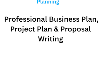 write a professional business plan or project plan