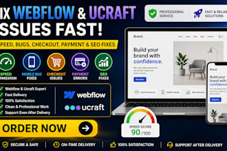 fix webflow and ucraft issues speed SEO checkout and payment errors