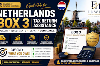 do netherlands tax return box 3 wealth investments expat filing crypto startups