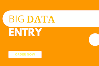 help you do big data entry project