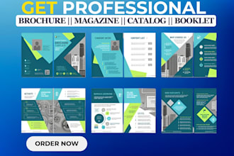 design a professional flyer or brochure for your business