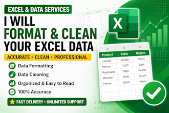 format and clean your excel data professionally