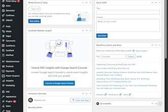 secure, fix, and speed up your wordpress website professionally