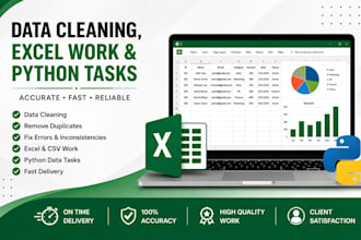 do data cleaning, excel work and python tasks