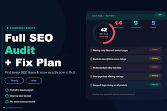 do a complete SEO audit for your ecommerce website