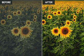 professionally edit photos and videos for social media