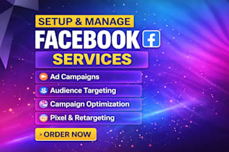run facebook ads with targeting and optimization
