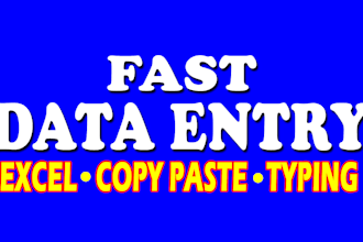 do fast data entry and data processing