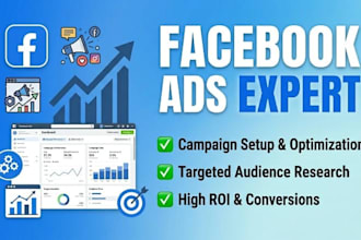 create and manage facebook ads campaign to grow your business