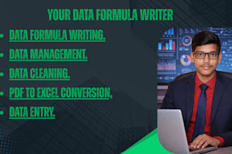 do data formula writing, urgent data entry and cleaning