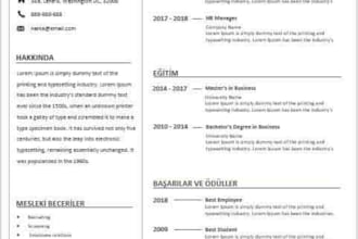 cv  rsume  resume writing  cv writing