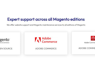 support and fix your magento 2 issues