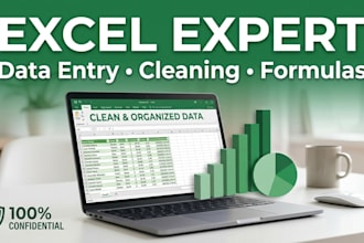 be your professional excel expert