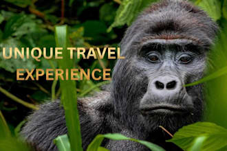create your custom rwanda travel itinerary with local insights