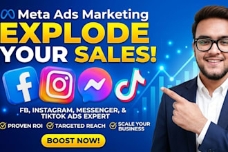 meta ads campaign as expert facebook ads meta ads expert