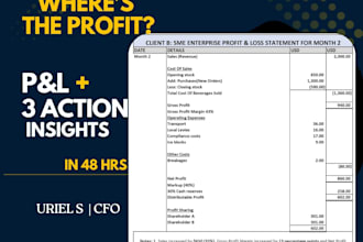deliver cfo p and l pack that reveals profit leaks in 48hrs