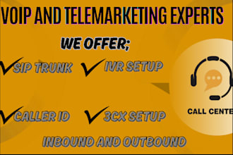 provide sip trunk didnumber  3cx setup and auto dailler