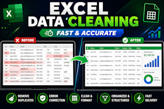 clean, format, and organize excel data professionally