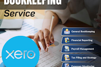 do xero bookkeeping, cleanup, reconciliation and reports