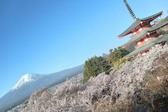 custom japan travel itinerary for your trip