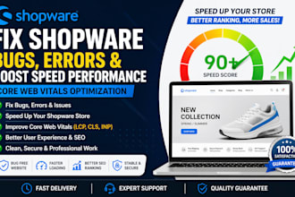 fix shopware website bugs errors boost speed performance core web vitals