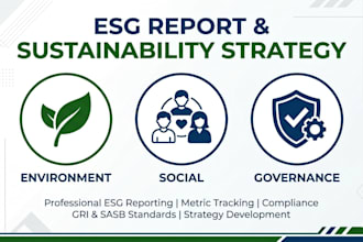 develop an esg report and sustainability strategy for your business