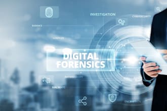 provide expert digital forensics and cybersecurity analysis