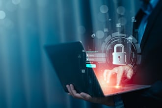 provide professional cybersecurity services and web security testing