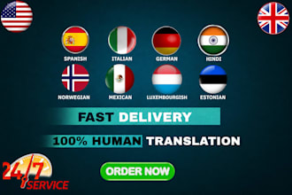 provide professional manual multilingual translation