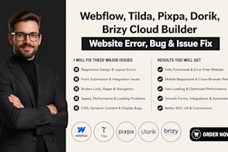 fix webflow tilda pixpa dorik brizy cloud builder website issue bugs errors fast